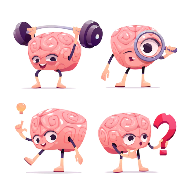brain